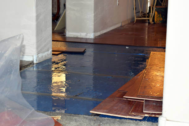 Professional Water Damage Restoration technician working in Fort Lee, VA